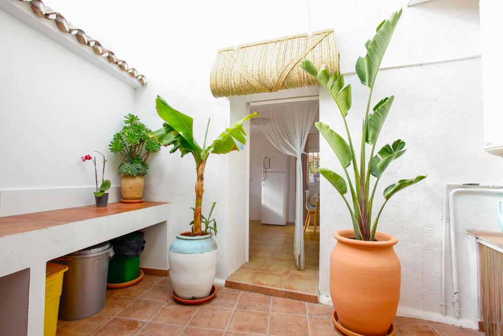 Patio encalado con plantas y macetas de barro